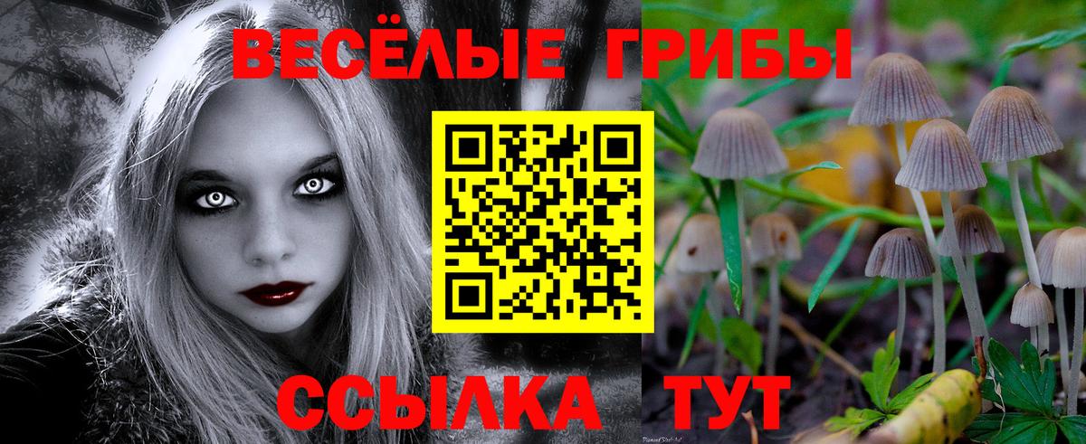 Псилоцибиновые грибы MAGIC MUSHROOMS  Псилоцибиновые грибы мицелий  Вход с VPN  Альметьевск 